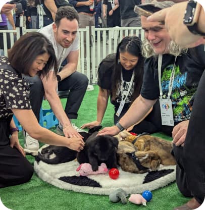 google-next-post-image-1