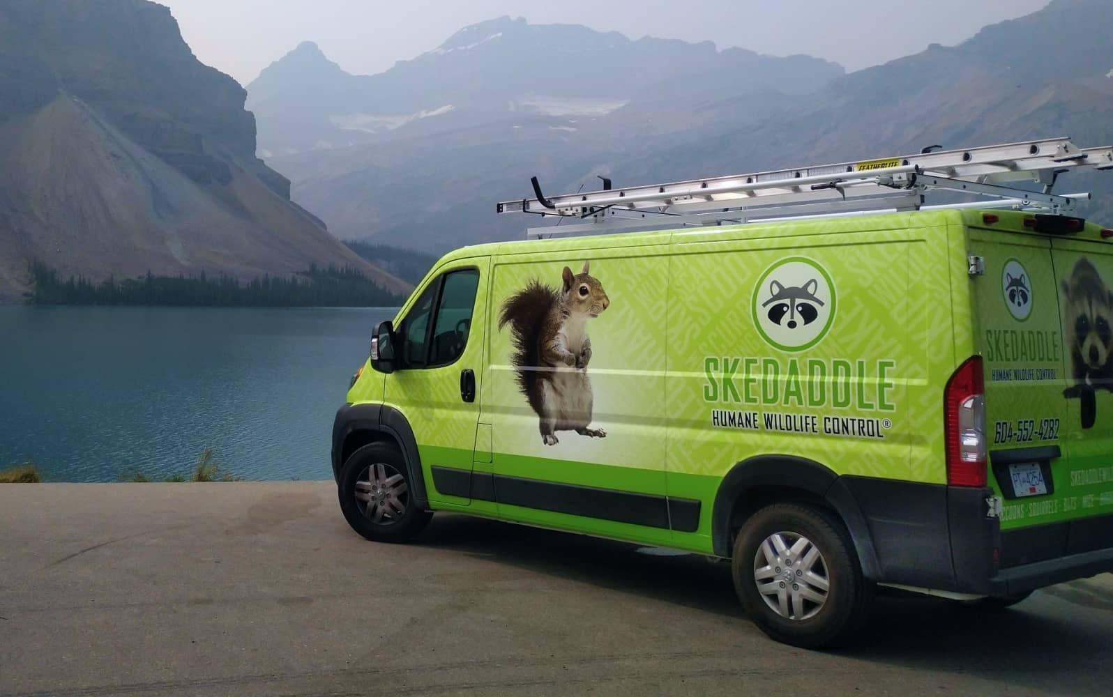 Skeddable Human Wildlife Control van